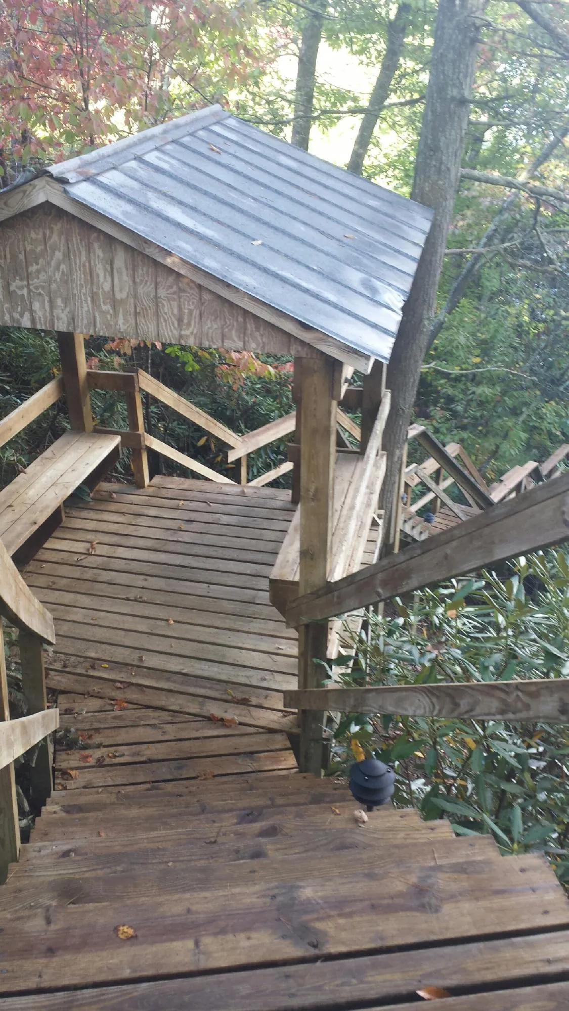 Metal roofed shelter over wooden steps on a wooded walkway — Skylight Repair & Installation work by our crew in Whitmire